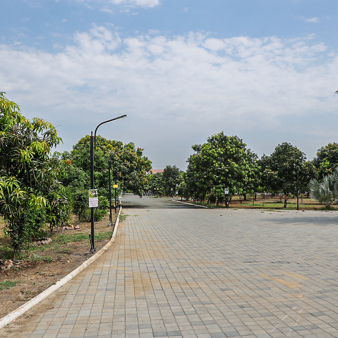 Online Booking Available